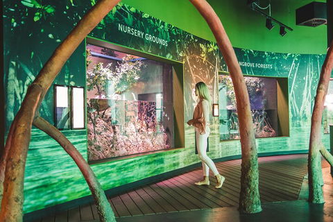 Cairns Aquarium Marine Life Encounter Ticket With 2-Course Lunch - Hotel Accommodation 3