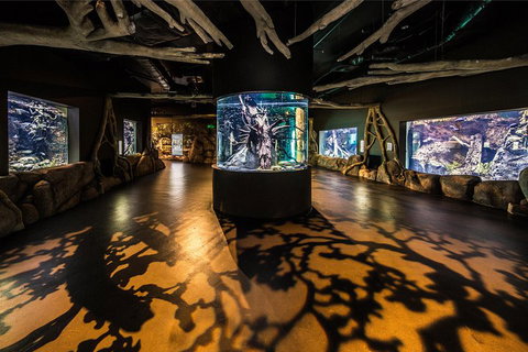 Cairns Aquarium Admission Ticket - Hotel Accommodation 1