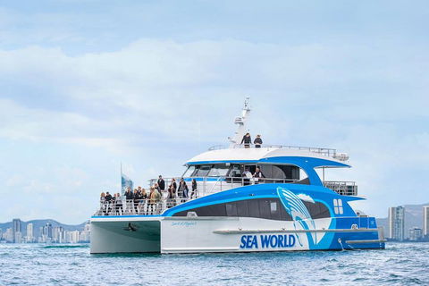 Whale Watching By Sea World Cruises - Hotel Accommodation 3