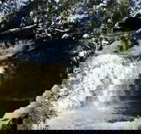 Cradle Mountain Day Tour from Launceston Including Lunch - Hotel Accommodation