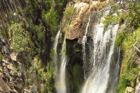 Beyond Byron Hinterland Tour - Hotel Accommodation 5