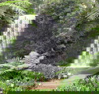 Private Daintree and Cape Tribulation Tour from Port Douglas - Hotel Accommodation