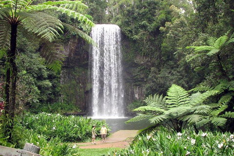 Private Daintree And Cape Tribulation Tour From Port Douglas - Hotel Accommodation 0