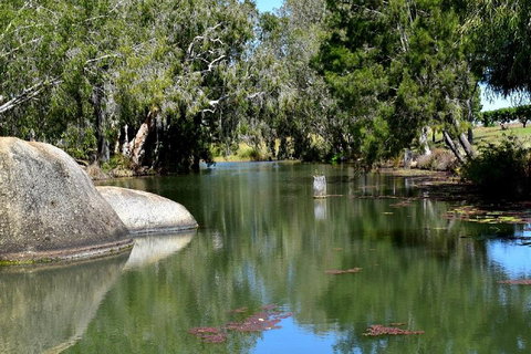 Private Daintree And Cape Tribulation Tour From Port Douglas - Hotel Accommodation 3