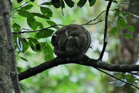 Private Daintree And Cape Tribulation Tour From Port Douglas - Hotel Accommodation 5