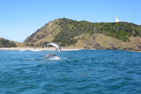 Kayaking With Dolphins In Byron Bay Guided Tour - Hotel Accommodation 0