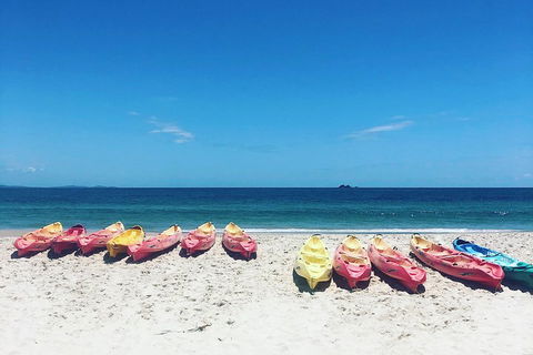 Kayaking With Dolphins In Byron Bay Guided Tour - Hotel Accommodation 1