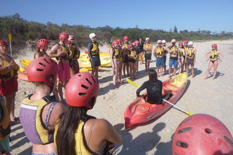 Kayaking With Dolphins In Byron Bay Guided Tour - Hotel Accommodation 2