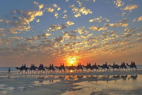 Broome City Sightseeing Tour With Optional Camel Ride - Hotel Accommodation 1