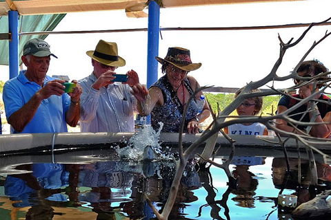 Cape Leveque 4WD Tour From Broome With Optional Return Flight - Hotel Accommodation 0