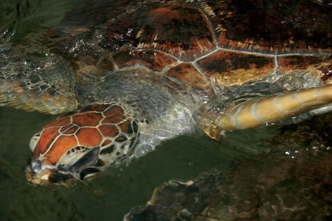 Cape Leveque 4WD Tour From Broome With Optional Return Flight - Hotel Accommodation 2