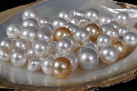 Cape Leveque 4WD Tour From Broome With Optional Return Flight - Hotel Accommodation 5