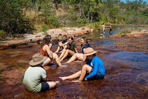Litchfield National Park Waterfalls And Wildlife Tour From Darwin - Hotel Accommodation 1