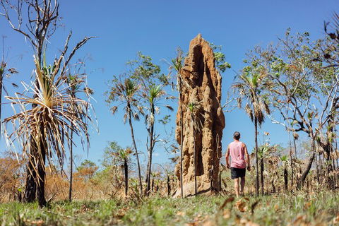 Litchfield National Park Waterfalls And Wildlife Tour From Darwin - Hotel Accommodation 4