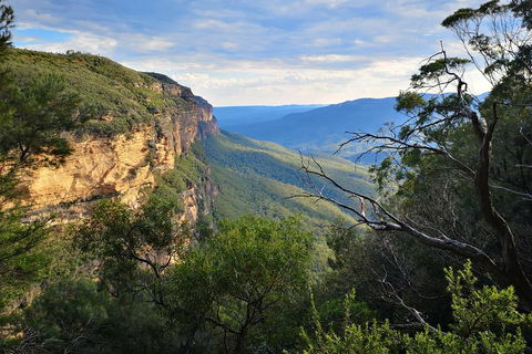 Blue Mountains Day Tour With Wildlife At Sunset From Sydney - Hotel Accommodation 5