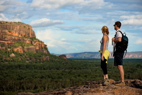 Kakadu National Park Wildlife And Ubirr Rock Art Tour From Darwin City - Hotel Accommodation 3