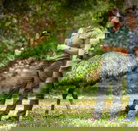 Great Ocean Road 2 Day Highlights Tour and sunset 12 Apostles - Hotel Accommodation