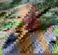 Great Ocean Road Reverse Itinerary with 12 Apostles from Melbourne - Hotel Accommodation