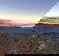 Blue Mountains Sunset Tour  Kangaroos  Koala Encounter Private Tour - Hotel Accommodation