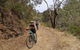 Mount Lofty Descent Bike Tour From Adelaide - thumb 0