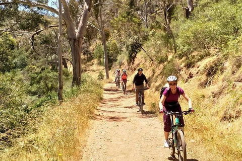 Mount Lofty Descent Bike Tour From Adelaide - Hotel Accommodation 3