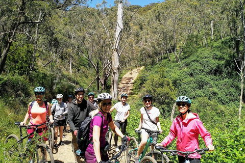 Mount Lofty Descent Bike Tour From Adelaide - Hotel Accommodation 5
