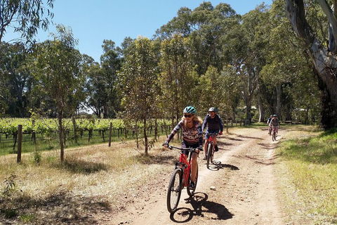McLaren Vale Wine Tour By Bike - Hotel Accommodation 1