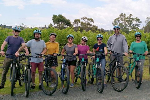 McLaren Vale Wine Tour By Bike - Hotel Accommodation 4