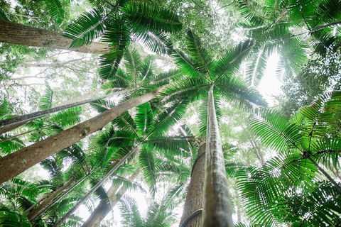 Fraser Explorer K'gari 2-Day Tour - Hotel Accommodation 2