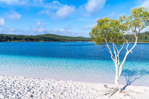 Lake McKenzie Full-Day Tour With Lunch From Hervey Bay - Hotel Accommodation 1