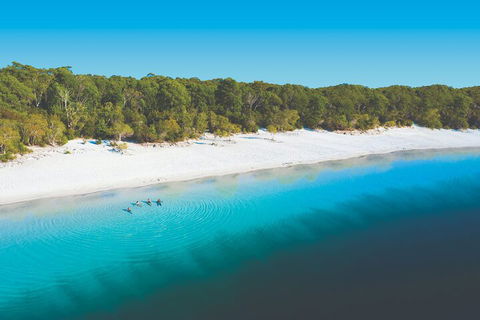 Lake McKenzie Full-Day Tour With Lunch From Hervey Bay - Hotel Accommodation 4