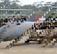 Off-Road Safari at Werribee Open Range Zoo - Hotel Accommodation