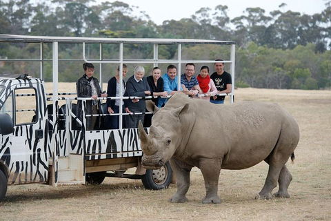 Off-Road Safari At Werribee Open Range Zoo - Hotel Accommodation 0