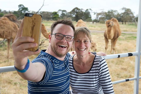 Off-Road Safari At Werribee Open Range Zoo - Hotel Accommodation 1