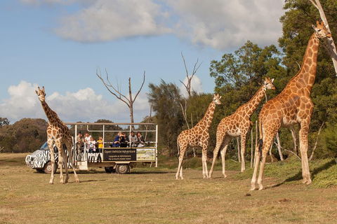 Off-Road Safari At Werribee Open Range Zoo - Hotel Accommodation 3