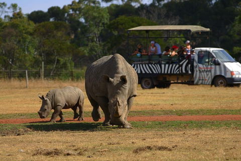 Off-Road Safari At Werribee Open Range Zoo - Hotel Accommodation 5