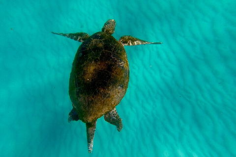 2-Day Moreton Island Tour From Brisbane Or Gold Coast With Optional Nighttime Kayaking - Hotel Accommodation 5