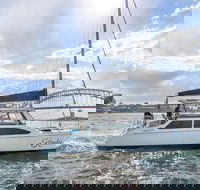 Vivid 90-Minute Sydney Harbour Catamaran Cruise with BYO Drinks - Hotel Accommodation