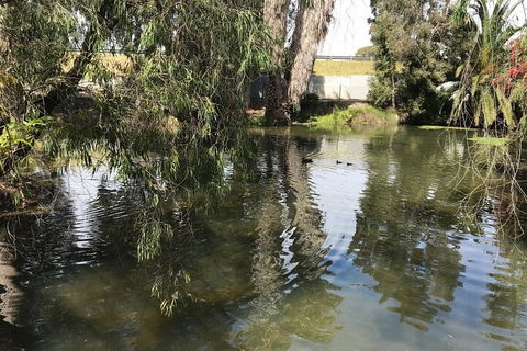 Perth East Foreshore And City Segway Tour - Hotel Accommodation 1