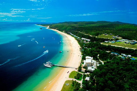 Tangalooma Island Resort Whale Watching Day Cruise - Hotel Accommodation 2