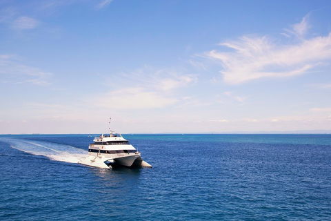 Tangalooma Island Resort Whale Watching Day Cruise - Hotel Accommodation 5