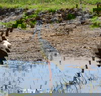 Darwin to Kakadu Day Trip by Air Including Yellow Water Cruise - Hotel Accommodation
