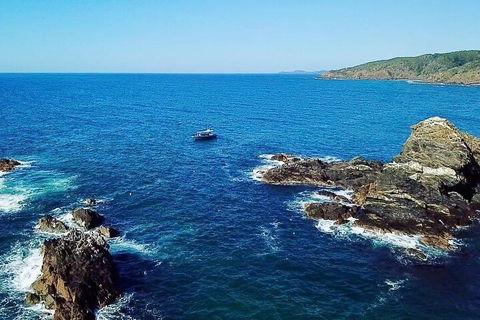 Julian Rocks Byron Bay Cruise - Hotel Accommodation 0