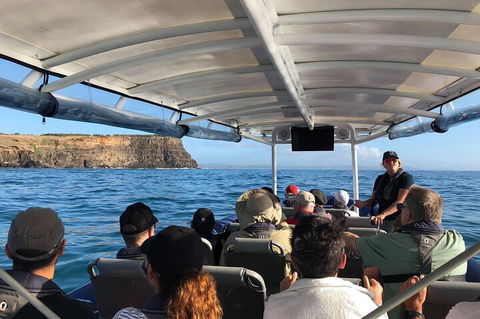 Julian Rocks Byron Bay Cruise - Hotel Accommodation 4