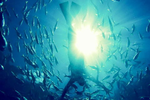 2-Day Whitsundays Sailing Adventure: SV Whitehaven - Hotel Accommodation 1