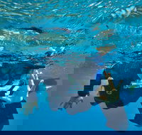 3 Day Whitsundays Sailing and Diving Adventure Kiana - Hotel Accommodation