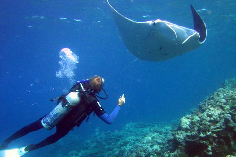 3 Day Whitsundays Sailing And Diving Adventure: Kiana - Hotel Accommodation 3