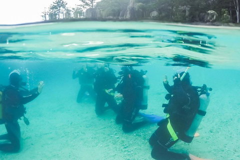 3 Day Whitsundays Sailing And Diving Adventure: Kiana - Hotel Accommodation 4