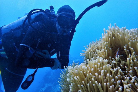 3 Day Whitsundays Sailing And Diving Adventure: Kiana - Hotel Accommodation 5