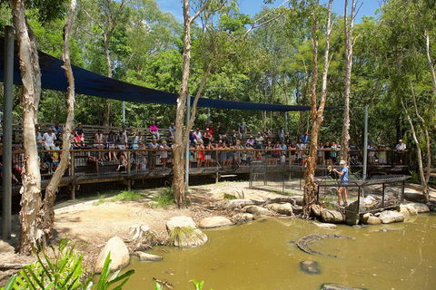 Hartley's Crocodile Adventures Breakfast With The Koalas - Hotel Accommodation 1